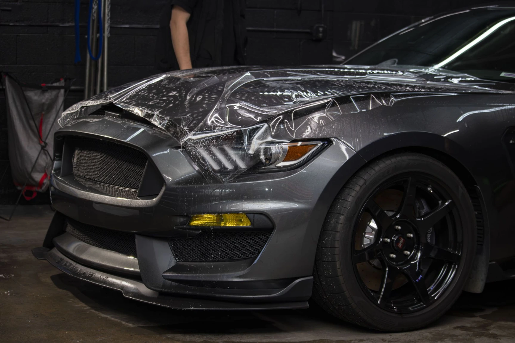 Installing clear bra PPF on 2018 Ford Shelby GT350 hood