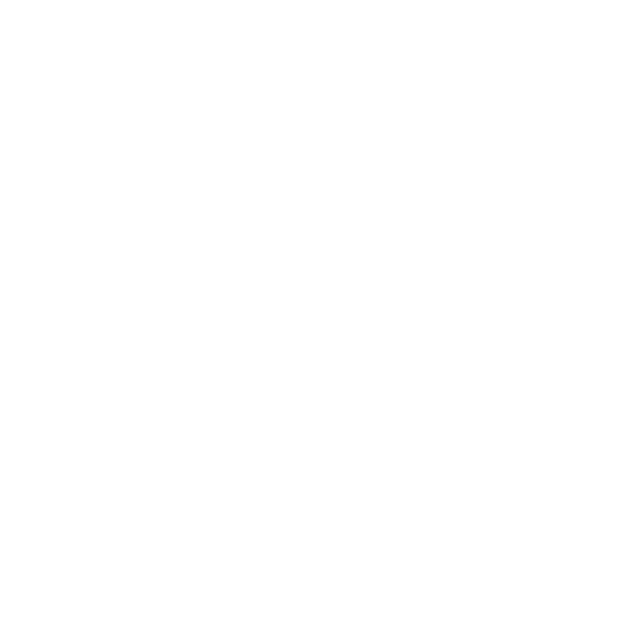 Dust Repellent Icon