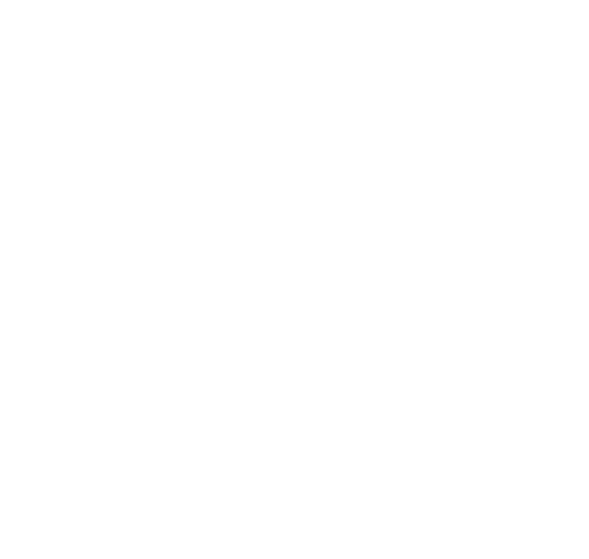 Washing car with rag icon