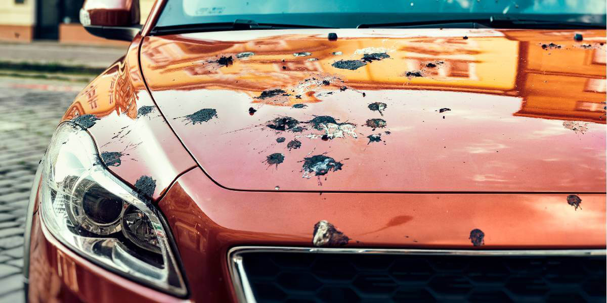what does a clear bra do for your car?