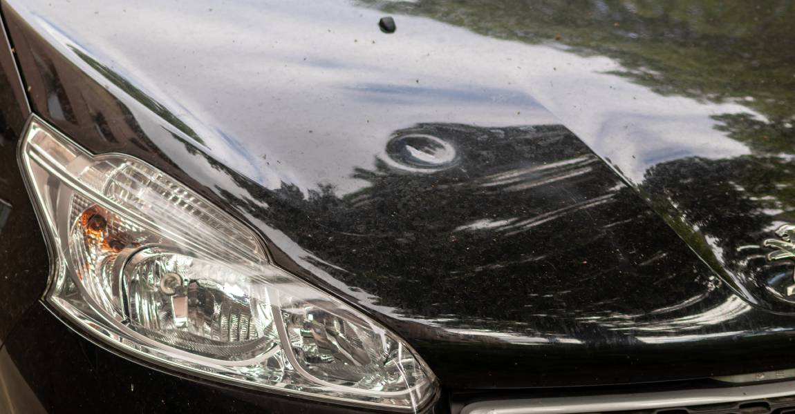 hail damage