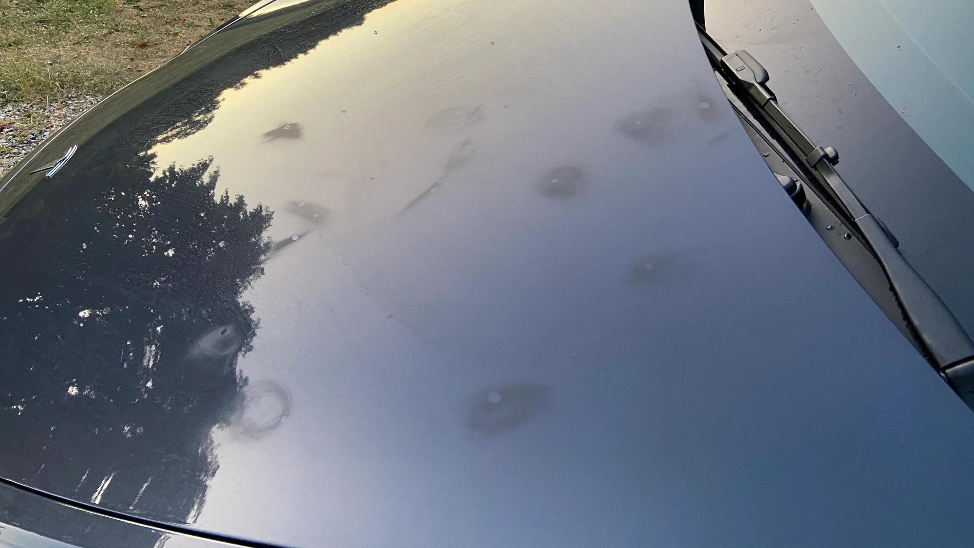 get a professional ceramic coating